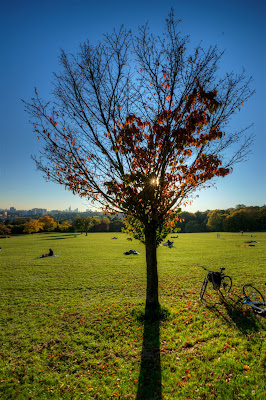 DSC03420_1_2_tonemapped.jpg