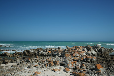 DSC05667.JPG