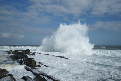 DSC06046.JPG