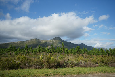 DSC06074.JPG