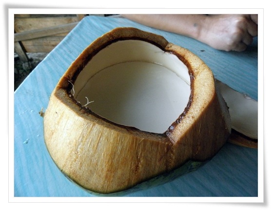 [kelapa puding[5].jpg]