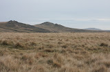 IMG_2183.jpg