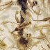 c carnuntanus.jpg, Chirocephalus carnuntanus / Pannon endémizmus / a Pannonic endemism, Levéllábú rákok/Large branchiopods