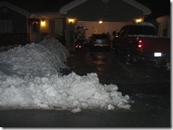 Snow storm 2010 198