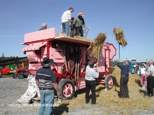 Sam Maguire Threshing 130909 015.jpg