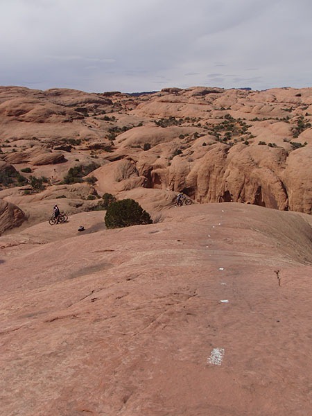 [P3260019[4].jpg]