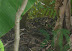 see him?