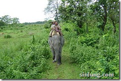 elephant_monitoring_team_24140