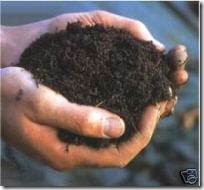 Indian_Vermi_Compost__Bio_Fertilizer_