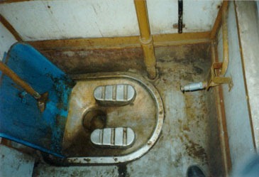 [indian toilet[2].jpg]