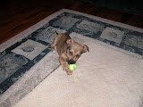 DSCN5234.JPG