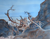 Beach Tangle small copywatermark.jpg