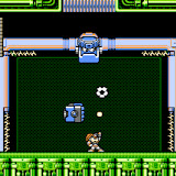 18_Buster_bmp_jpgcopy.jpg