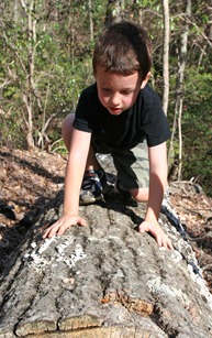 IMG_3115 IMG_3115
