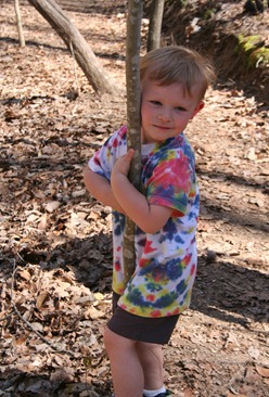 IMG_3084 IMG_3084