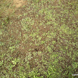 DSC01418.jpg