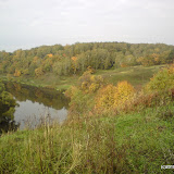 DSC01411.jpg