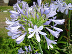 DSC01136.JPG