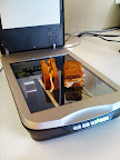 our thanksgiving “scan”wiches