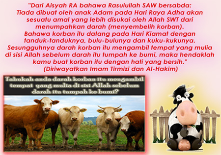 korban 002