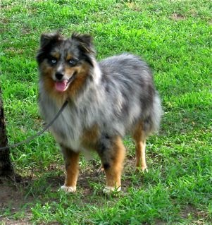 [Mayes Lil Bud[2].jpg]