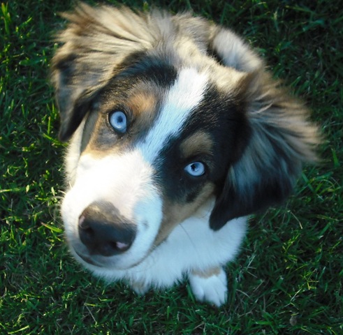 [ChaseVisitandFarmPics032.jpg]
