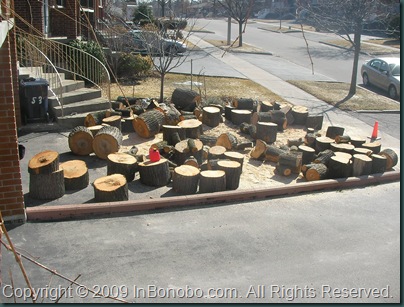 Italian Wood