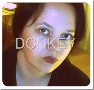 donkey