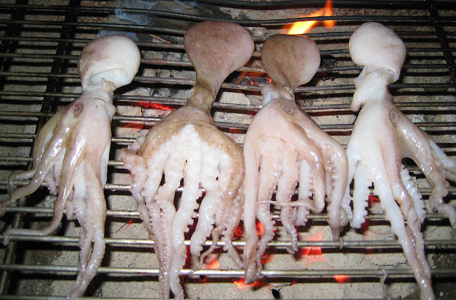 Octopus on Braai