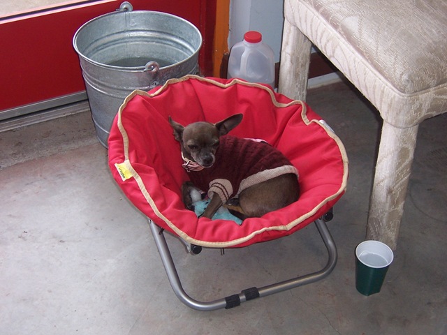 [March26090055.jpg]