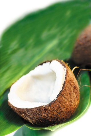 [coconut[10].jpg]