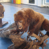 DSC01085.JPG