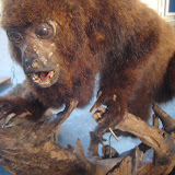 DSC01121.JPG
