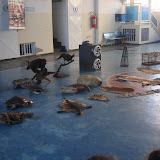 DSC01132.JPG