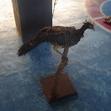 DSC01138.JPG