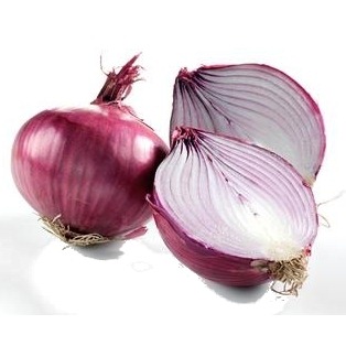 [bawang-merah[5].jpg]