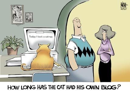 [cat-blog[4].jpg]