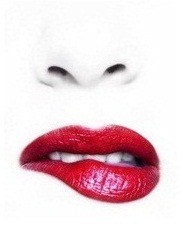 header 1-crop-crop