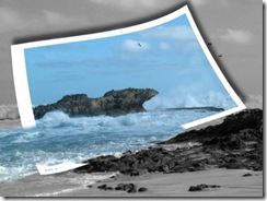 idealistic_image_designs
