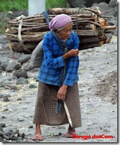 ibu