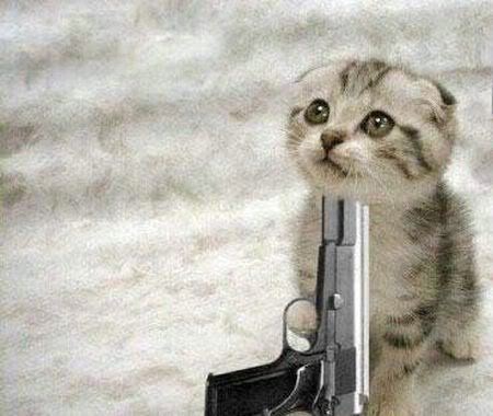 [kucingmaubunuhdiri[5].jpg]