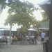IMG0613A.jpg