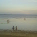 IMG0619A.jpg