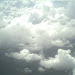 IMG0793A.jpg