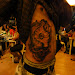DSC01251.JPG