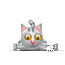 cat_mouse