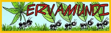 Ervamundi LOGO
