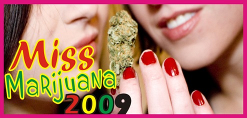 Miss Marijuana BrasiL