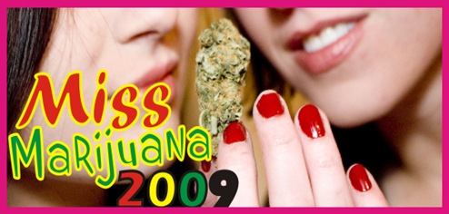 Miss Marijuana BrasiL