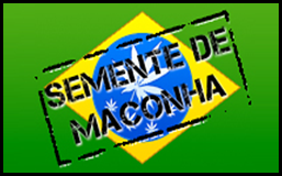 logosemente